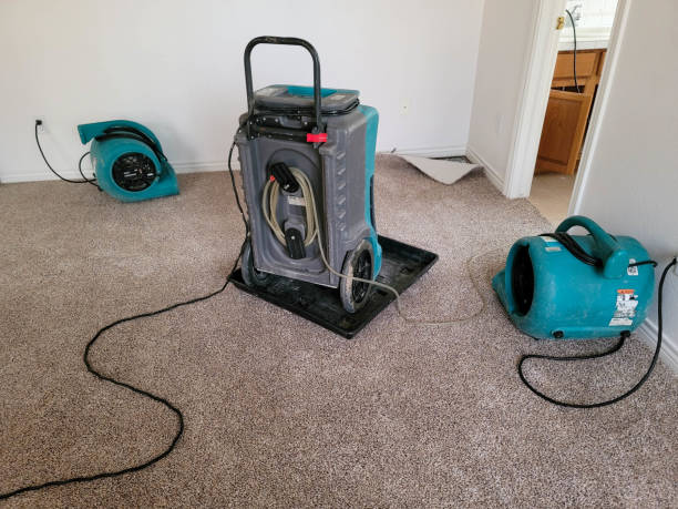 Best Commercial water damage restoration  in Shively, KY