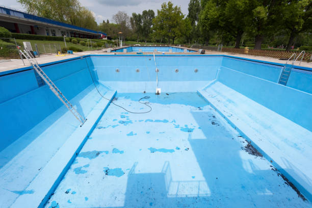 Best Flood restoration services  in Shively, KY