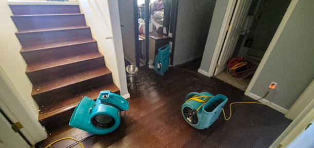 Best Commercial water damage restoration  in Shively, KY