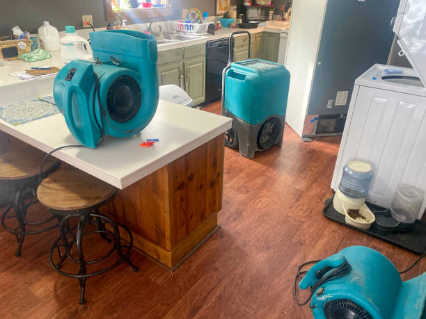 Best Ceiling water damage repair  in Shively, KY