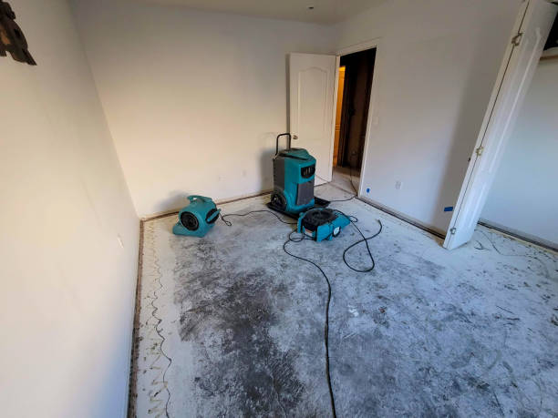 Best Water damage restoration company  in Shively, KY
