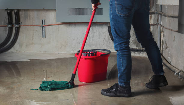 Best Water damage restoration company  in Shively, KY