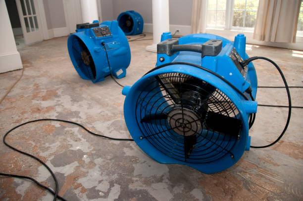 Best Flooded house restoration  in Shively, KY