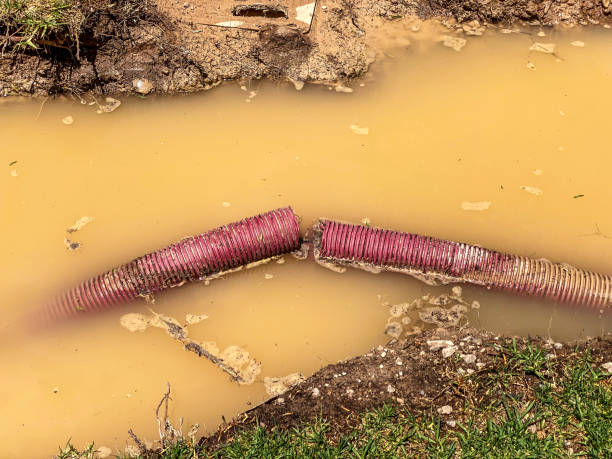 Best Carpet water damage restoration  in Shively, KY
