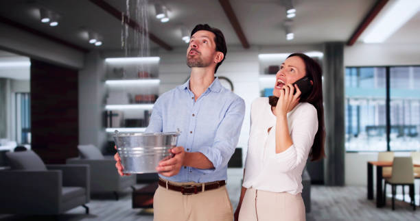  Shively, KY Water damage restoration Pros